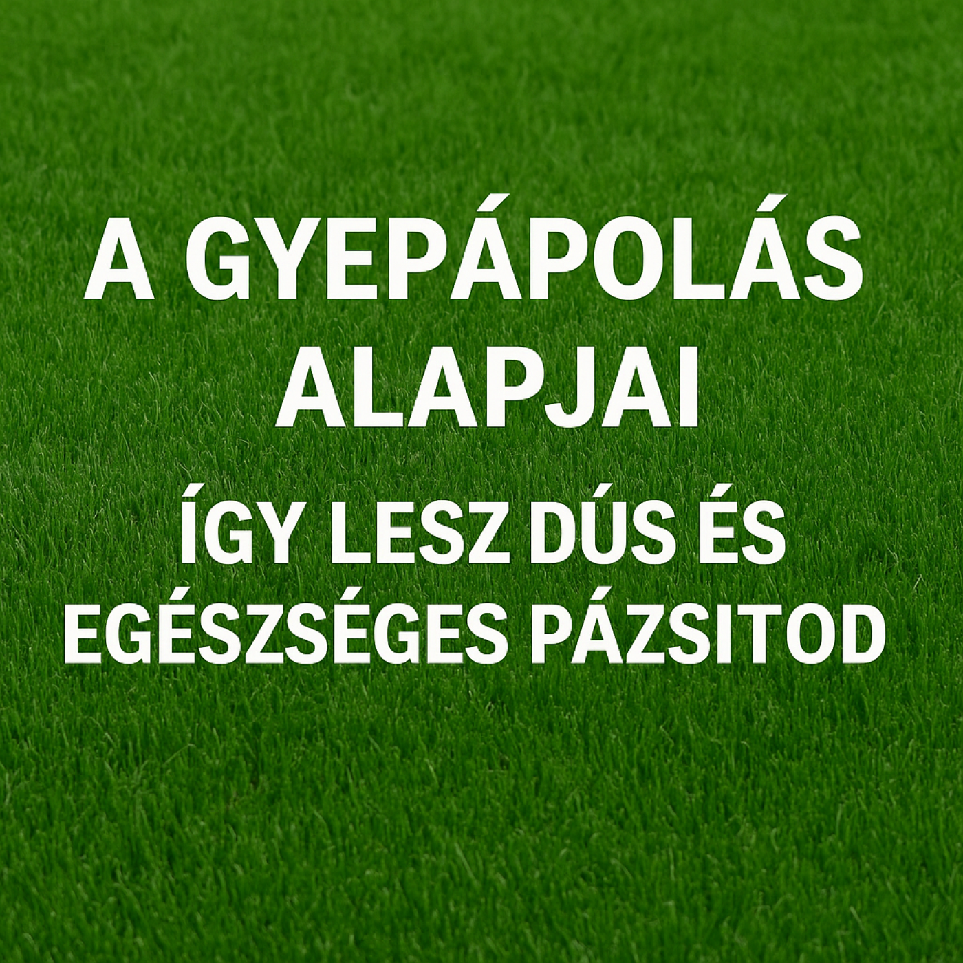 Gyepápolás alapjai