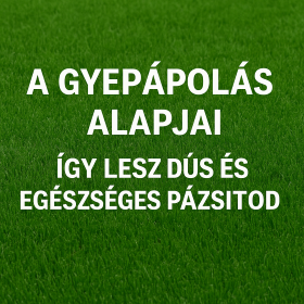 Gyepápolás alapjai